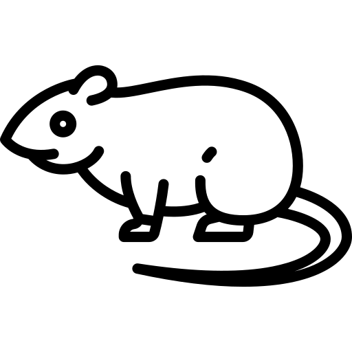 rat icon